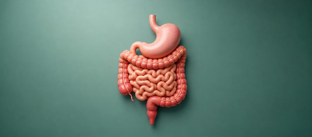 Liver Transplant