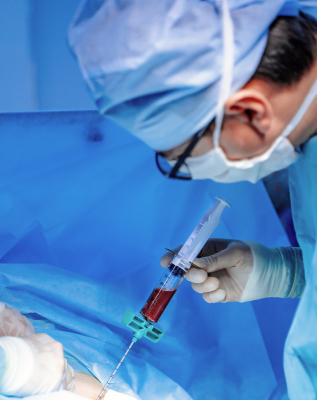 Stem Cell & Bone Marrow Transplant