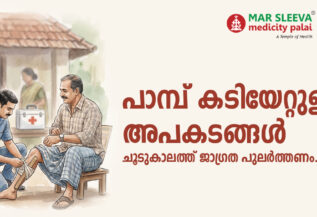 പാമ്പ് കടിയേറ്റുള്ള അപകടങ്ങൾ വർധിക്കുന്നു; ചൂടുകാലത്ത് ജാഗ്രത പുലർത്തണം.