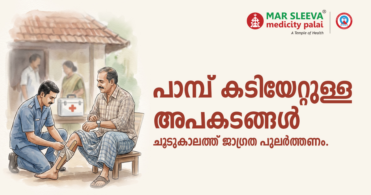 പാമ്പ് കടിയേറ്റുള്ള അപകടങ്ങൾ വർധിക്കുന്നു; ചൂടുകാലത്ത് ജാഗ്രത പുലർത്തണം.
