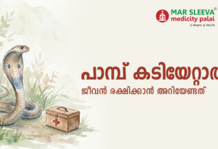പാമ്പ് കടിയേറ്റാൽ എന്ത് ചെയ്യണം? ജീവൻ രക്ഷിക്കാൻ അറിയേണ്ടത്