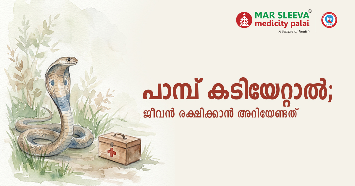 പാമ്പ് കടിയേറ്റാൽ എന്ത് ചെയ്യണം? ജീവൻ രക്ഷിക്കാൻ അറിയേണ്ടത്