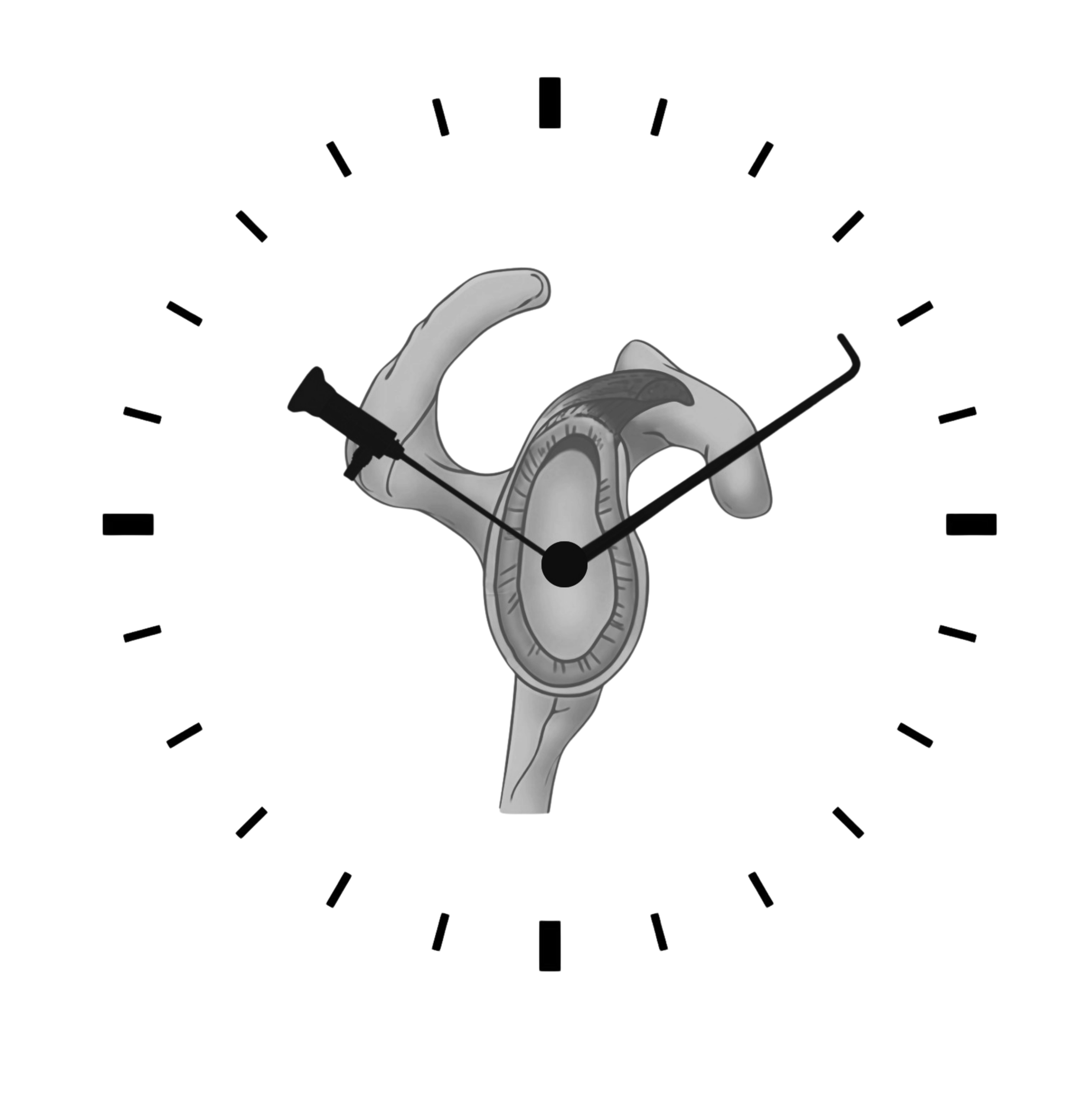 LABRUM 12 to 12 Visual