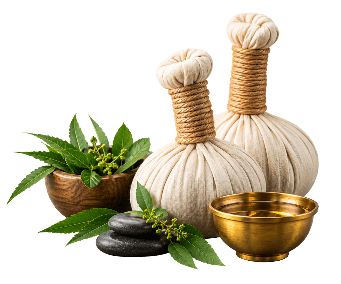 Ayurveda